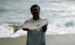 RED DRUM  CAUGHT IN N.C.